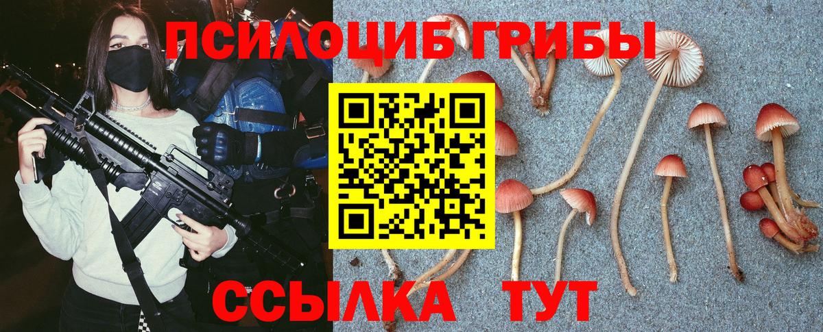 Псилоцибиновые грибы Psilocybe  Галлюциногенные грибы MAGIC MUSHROOMS  Саяногорск  Вход с VPN 